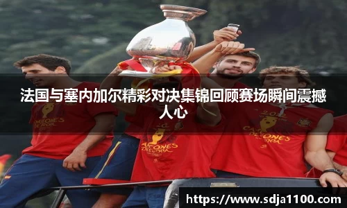 法国与塞内加尔精彩对决集锦回顾赛场瞬间震撼人心