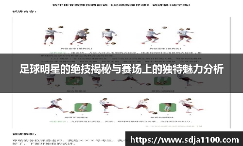 足球明星的绝技揭秘与赛场上的独特魅力分析